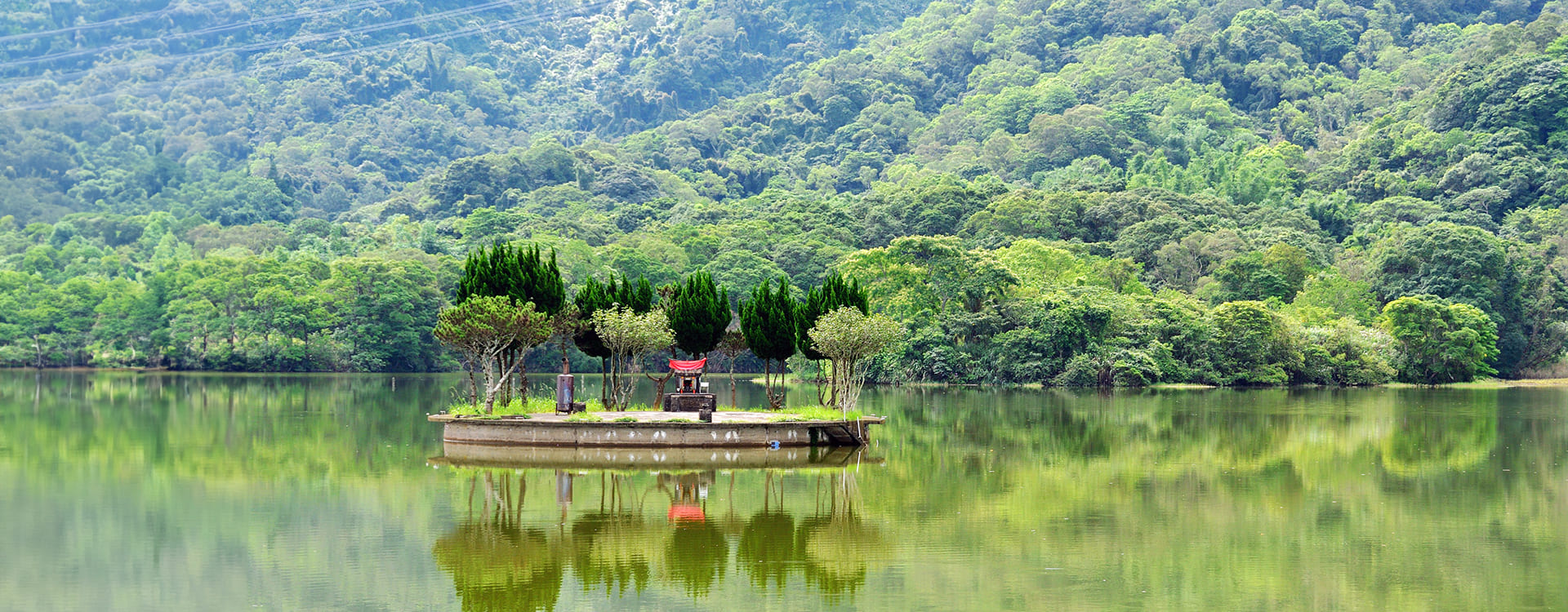 Taoyua Management Office