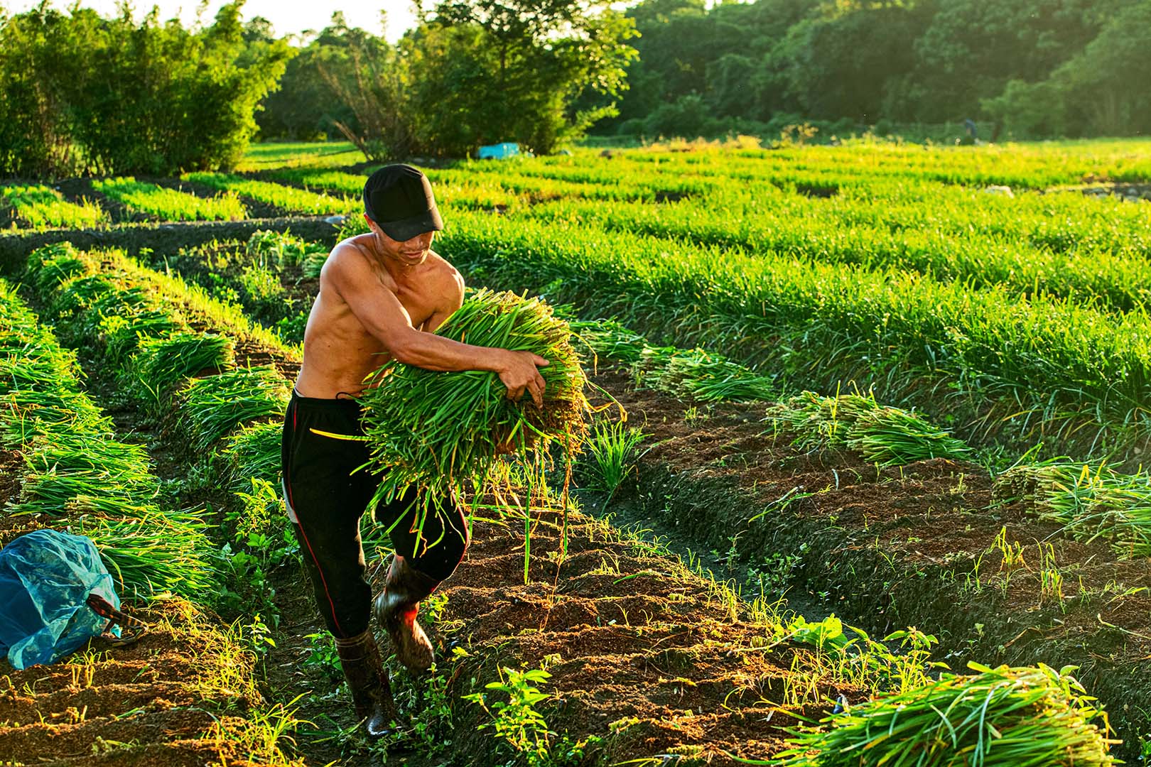 2022 Photography Competition-Farmland