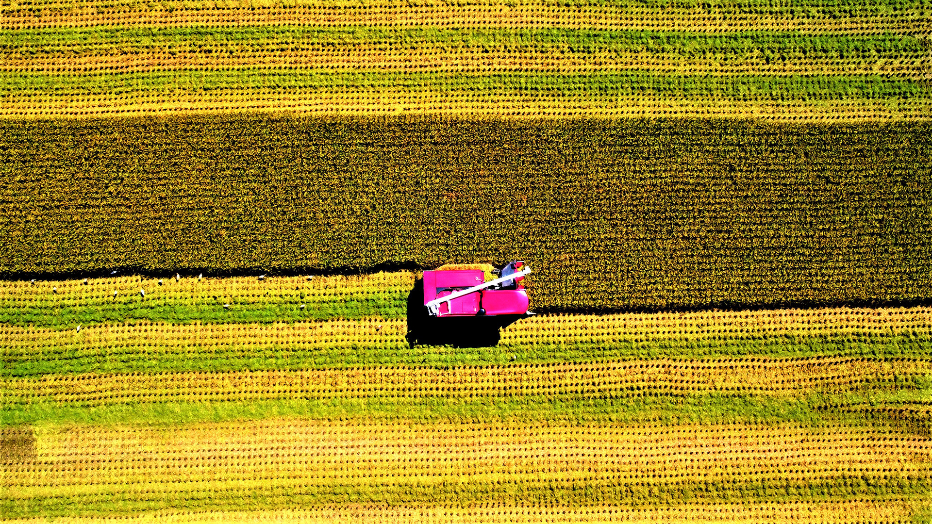 2022 Photography Competition-Agriculture